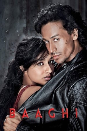 Baaghi (2016) [Hindi]