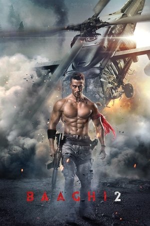 Baaghi 2 (2018) (Hindi)