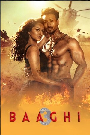 Baaghi 3 (2020) (Hindi)